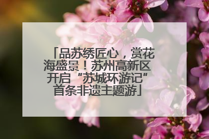 品苏绣匠心，赏花海盛景！苏州高新区开启“苏城环游记”首条非遗主题游