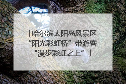 哈尔滨太阳岛风景区“阳光彩虹桥”带游客“漫步彩虹之上”