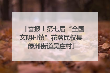 喜报！第七届“全国文明村镇”花落民权县绿洲街道吴庄村