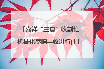 嘉祥“三夏”收割忙 机械化奏响丰收进行曲
