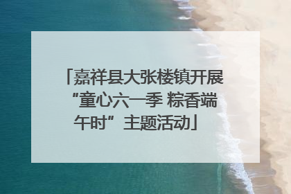 嘉祥县大张楼镇开展“童心六一季 粽香端午时”主题活动