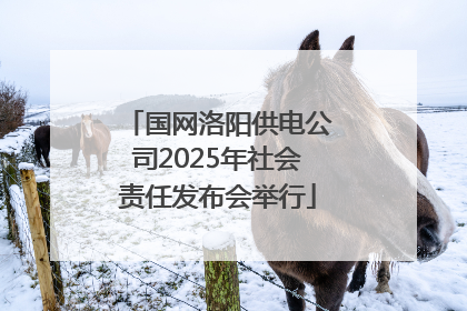 国网洛阳供电公司2025年社会责任发布会举行