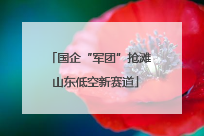国企“军团”抢滩山东低空新赛道