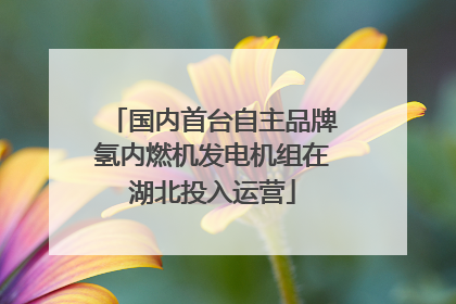 国内首台自主品牌氢内燃机发电机组在湖北投入运营
