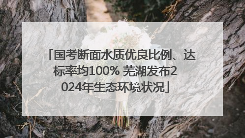 国考断面水质优良比例、达标率均100% 芜湖发布2024年生态环境状况