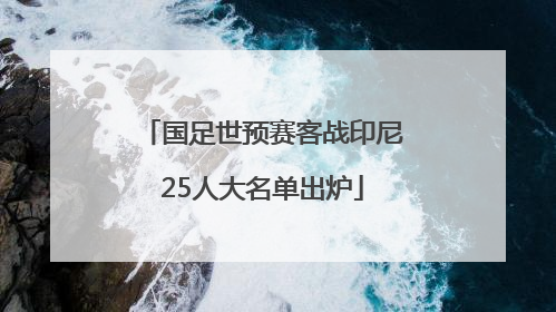 国足世预赛客战印尼25人大名单出炉