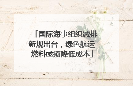 国际海事组织减排新规出台，绿色航运燃料亟须降低成本
