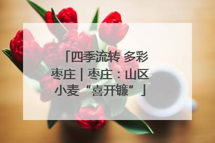 四季流转 多彩枣庄｜枣庄：山区小麦“喜开镰”