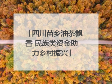 四川苗乡油茶飘香 民族类资金助力乡村振兴