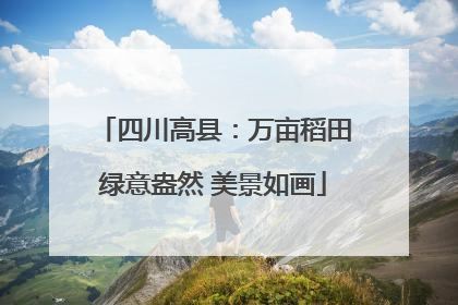 四川高县：万亩稻田绿意盎然 美景如画