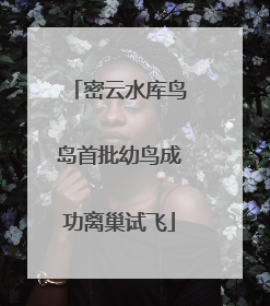 密云水库鸟岛首批幼鸟成功离巢试飞
