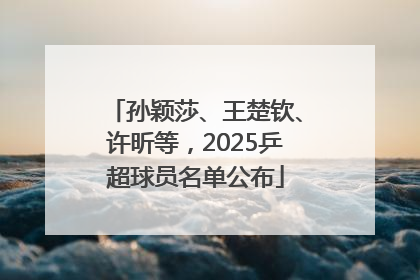 孙颖莎、王楚钦、许昕等，2025乒超球员名单公布