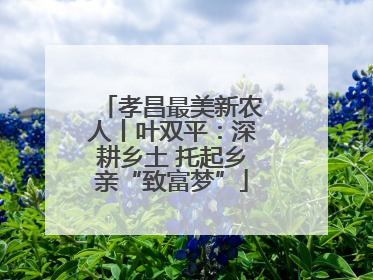 孝昌最美新农人丨叶双平：深耕乡土 托起乡亲“致富梦”