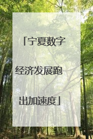 宁夏数字经济发展跑出加速度