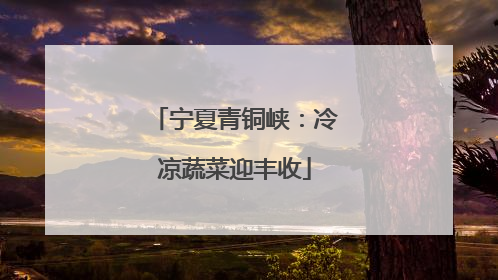 宁夏青铜峡：冷凉蔬菜迎丰收