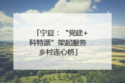 宁夏：“党建+科特派”架起服务乡村连心桥