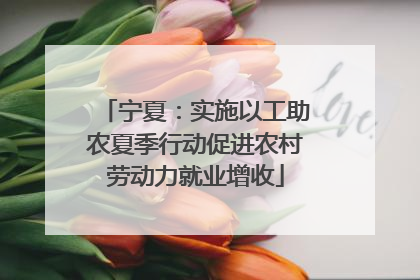 宁夏：实施以工助农夏季行动促进农村劳动力就业增收