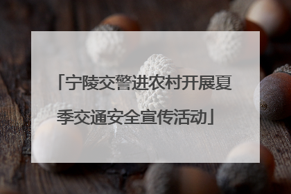 宁陵交警进农村开展夏季交通安全宣传活动