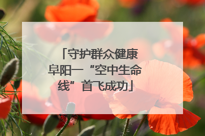 守护群众健康 阜阳一“空中生命线”首飞成功
