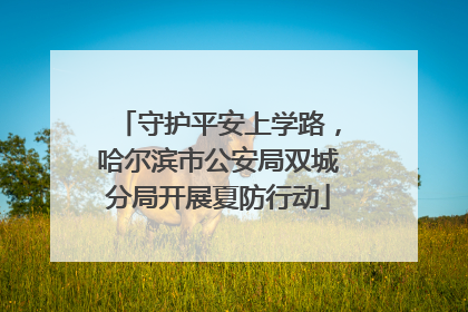 守护平安上学路，哈尔滨市公安局双城分局开展夏防行动