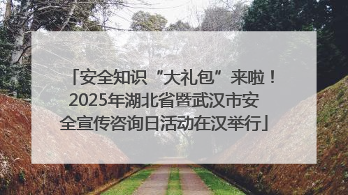 安全知识“大礼包”来啦！2025年湖北省暨武汉市安全宣传咨询日活动在汉举行