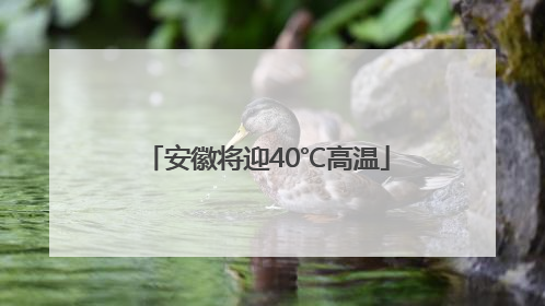 安徽将迎40℃高温