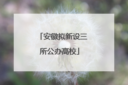 安徽拟新设三所公办高校