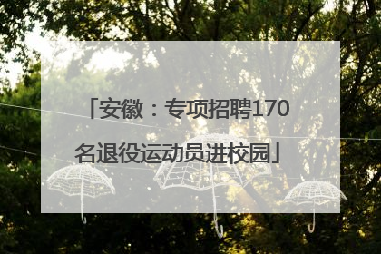 安徽：专项招聘170名退役运动员进校园