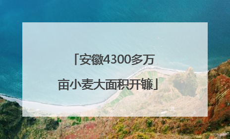 安徽4300多万亩小麦大面积开镰