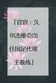 官宣：久尔杰维奇出任国足代理主教练