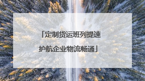 定制货运班列提速 护航企业物流畅通