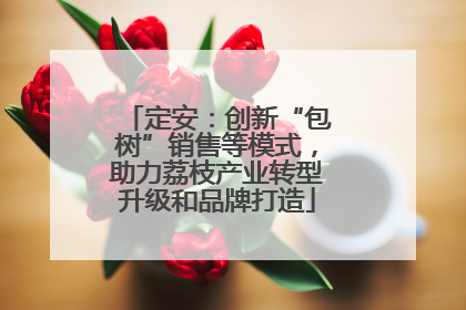 定安：创新“包树”销售等模式，助力荔枝产业转型升级和品牌打造