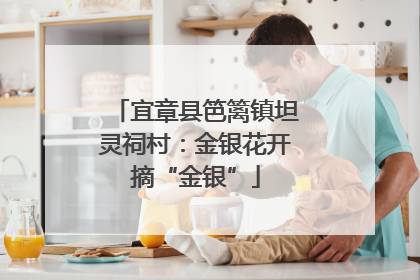 宜章县笆篱镇坦灵祠村：金银花开摘“金银”