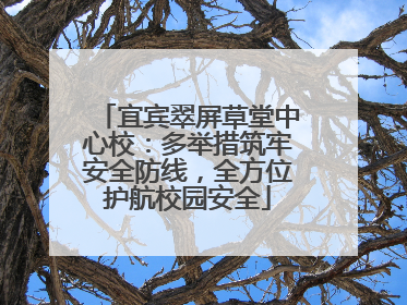 宜宾翠屏草堂中心校：多举措筑牢安全防线，全方位护航校园安全