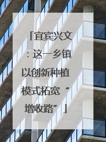 宜宾兴文：这一乡镇以创新种植模式拓宽“增收路”
