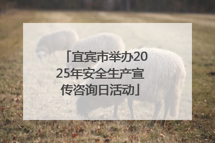 宜宾市举办2025年安全生产宣传咨询日活动
