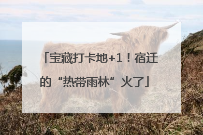 宝藏打卡地+1！宿迁的“热带雨林”火了