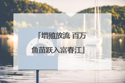 增殖放流 百万鱼苗跃入富春江