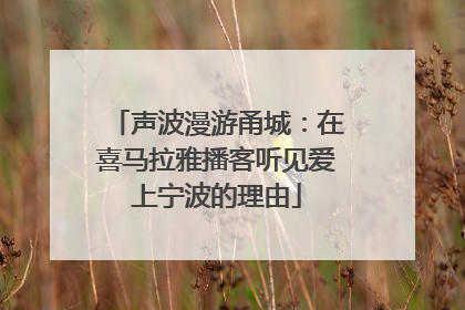 声波漫游甬城：在喜马拉雅播客听见爱上宁波的理由