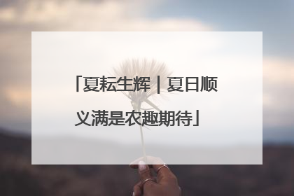 夏耘生辉｜夏日顺义满是农趣期待