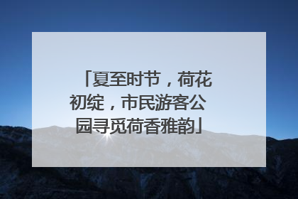 夏至时节，荷花初绽，市民游客公园寻觅荷香雅韵