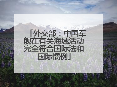 外交部：中国军舰在有关海域活动完全符合国际法和国际惯例