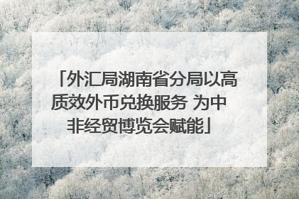 外汇局湖南省分局以高质效外币兑换服务 为中非经贸博览会赋能