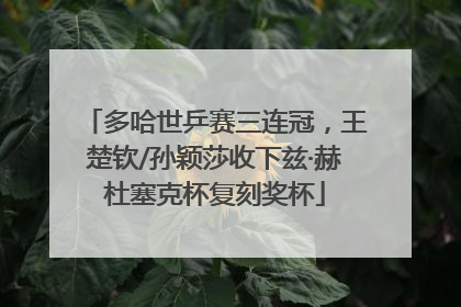 多哈世乒赛三连冠，王楚钦/孙颖莎收下兹·赫杜塞克杯复刻奖杯