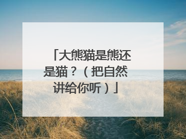 大熊猫是熊还是猫？（把自然讲给你听）