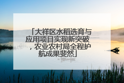 大祥区水稻选育与应用项目实现新突破，农业农村局全程护航成果斐然