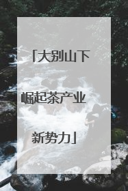大别山下崛起茶产业新势力