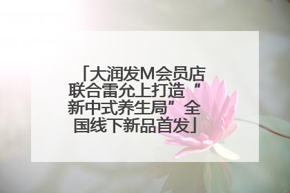 大润发M会员店联合雷允上打造“新中式养生局”全国线下新品首发