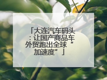 大连汽车码头：让国产商品车外贸跑出全球“加速度”