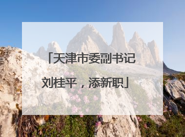 天津市委副书记刘桂平，添新职